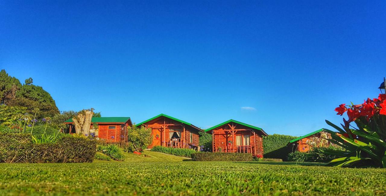 Grandpas Hotel & Restaurante 카르타고 외부 사진